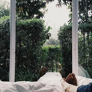 Hidden Villa Twin Bed